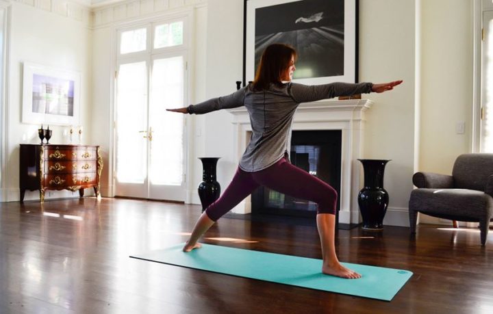 pine-stripe-5-year-yogini-long-sleeve-bordeaux-drama-in-the-flow-crops