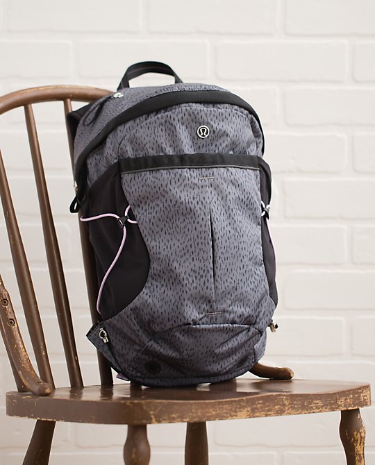 dash all day backpack