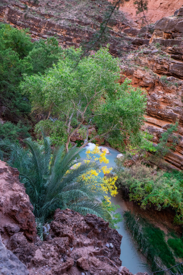 Havasupai in October: hiking to Beaver Falls