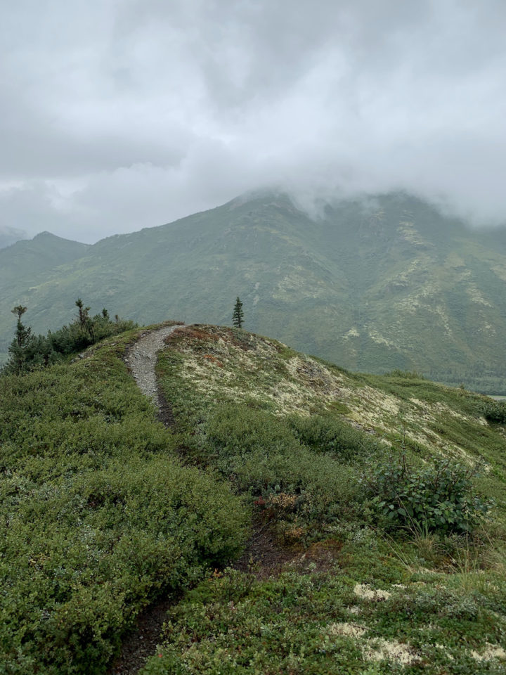 Staying at the Denali Backcountry Lodge: hiking activities in Denali National Park
