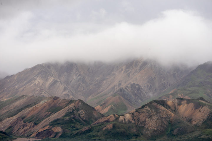 Polychrome Pass from Denali Park Road