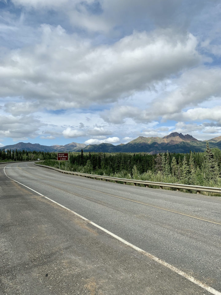 Denali Park Road run