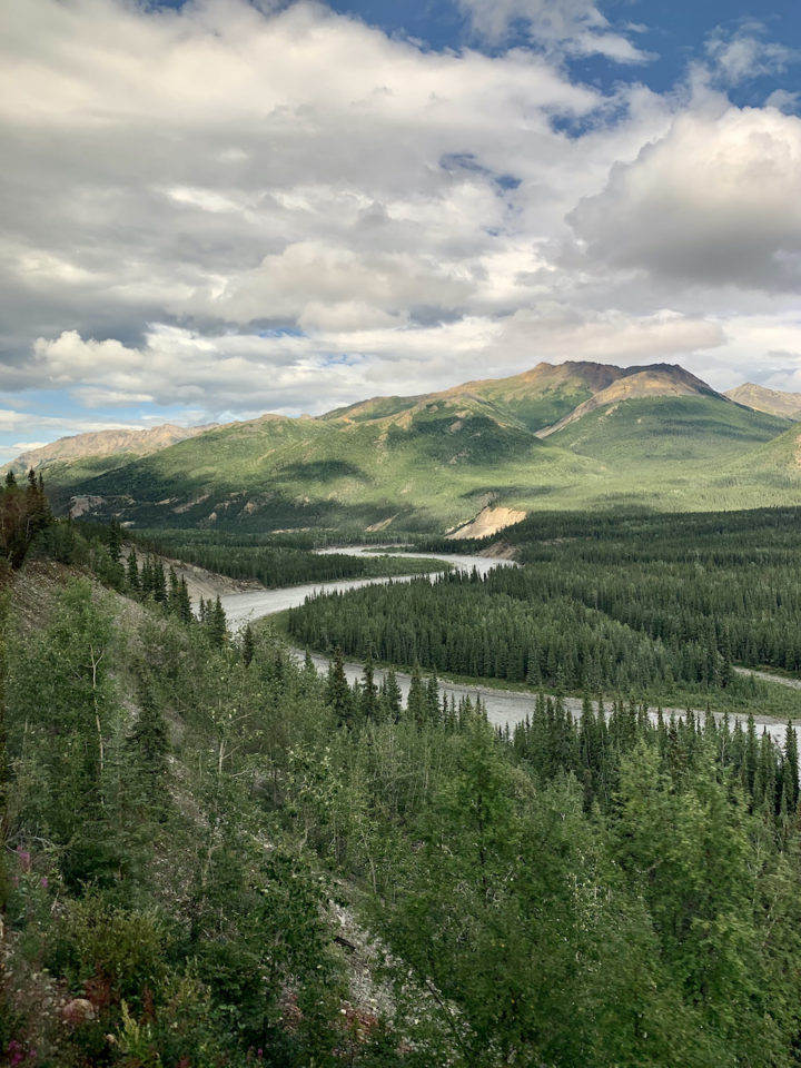 Views from the Denali Star Train