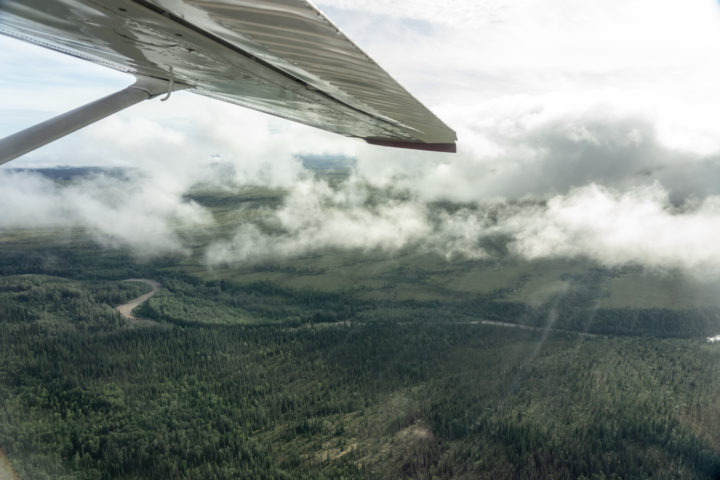 Denali flightseeing tour from Kantishna