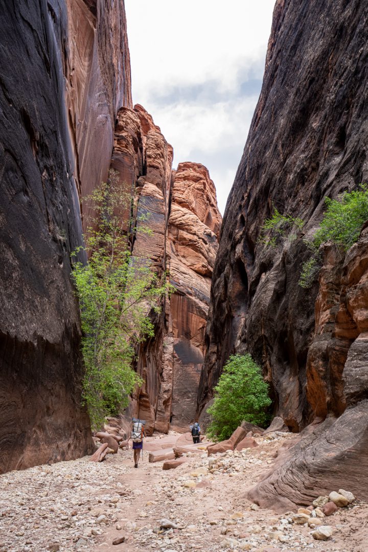 Trip Report: Buckskin Gulch backpacking in May