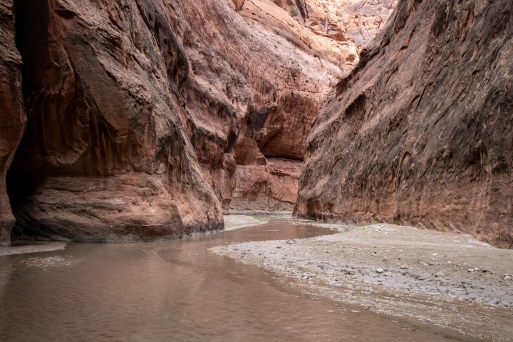 Backpacking Paria Canyon in low water