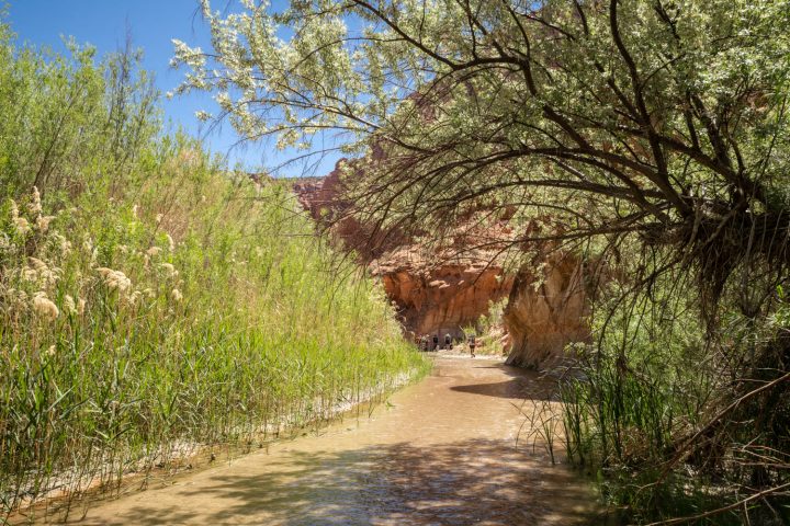 Backpacking Paria Canyon in Spring